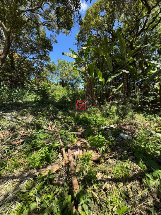 lote-venda-bairro-pousada-del-rey-igarape-1076097
