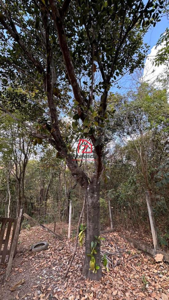 chacara-venda-bairro-francelinos-betim-1091592