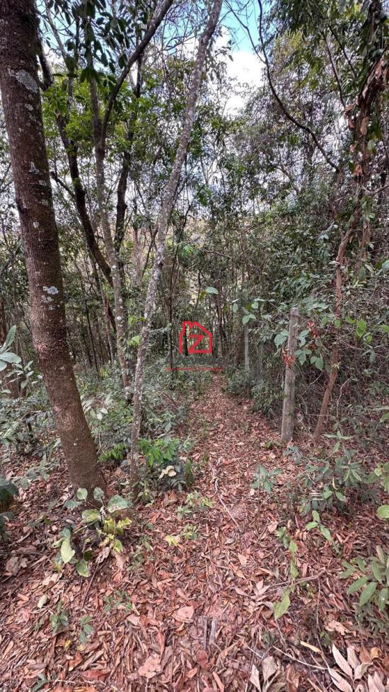chacara-venda-bairro-francelinos-betim-1091579