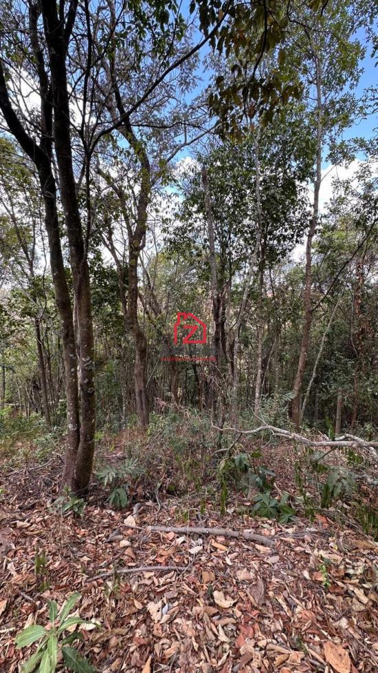 chacara-venda-bairro-francelinos-betim-1091602